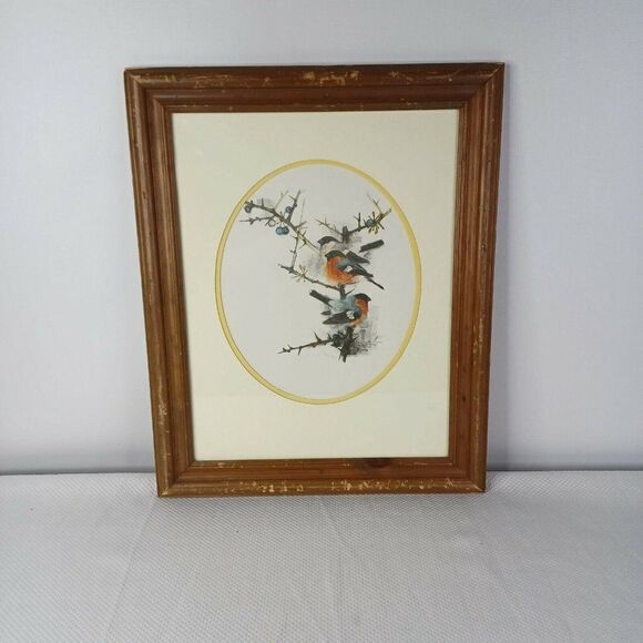 Vintage 80s Framed Danish Watercolor Bird Series Artist Mads Stage Spring Robins - Picture 4 of 8
